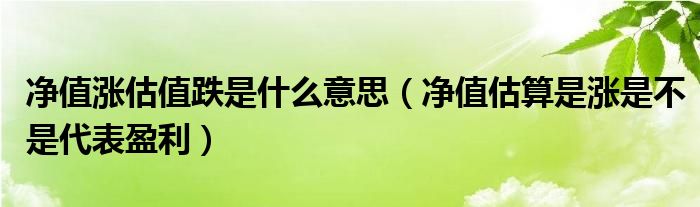 净值涨估值跌是什么意思（净值估算是涨是不是代表盈利）