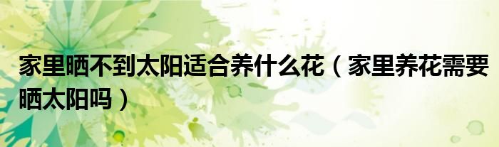 家里晒不到太阳适合养什么花（家里养花需要晒太阳吗）