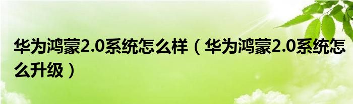 华为鸿蒙2.0系统怎么样（华为鸿蒙2.0系统怎么升级）