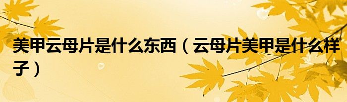 美甲云母片是什么东西（云母片美甲是什么样子）