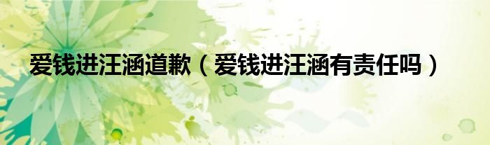 爱钱进汪涵道歉（爱钱进汪涵有责任吗）