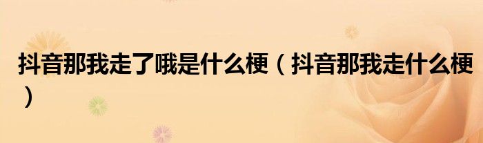抖音那我走了哦是什么梗（抖音那我走什么梗）