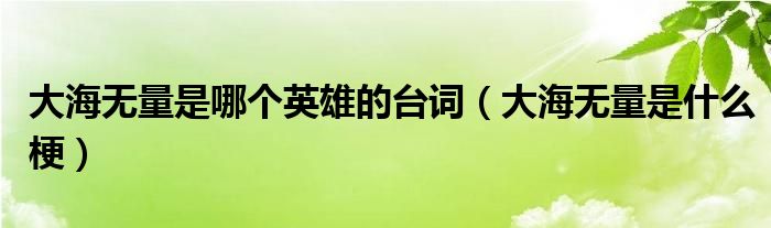 大海无量是哪个英雄的台词（大海无量是什么梗）