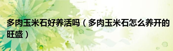 多肉玉米石好养活吗（多肉玉米石怎么养开的旺盛）