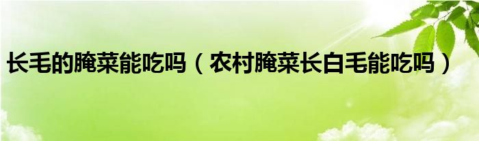 长毛的腌菜能吃吗（农村腌菜长白毛能吃吗）