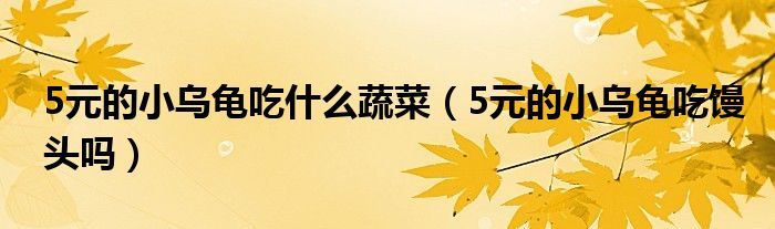 5元的小乌龟吃什么蔬菜（5元的小乌龟吃馒头吗）