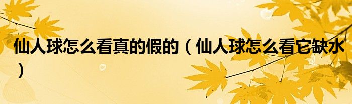 仙人球怎么看真的假的（仙人球怎么看它缺水）