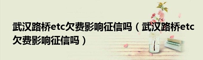 武汉路桥etc欠费影响征信吗（武汉路桥etc欠费影响征信吗）