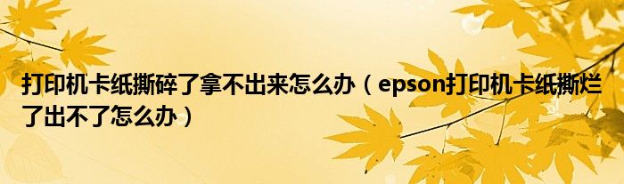 打印机卡纸撕碎了拿不出来怎么办（epson打印机卡纸撕烂了出不了怎么办）