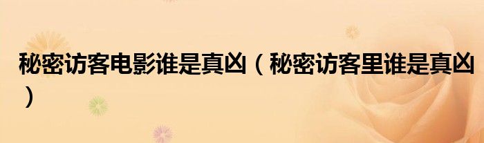 秘密访客电影谁是真凶（秘密访客里谁是真凶）