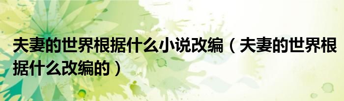 夫妻的世界根据什么小说改编（夫妻的世界根据什么改编的）