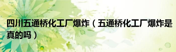 四川五通桥化工厂爆炸（五通桥化工厂爆炸是真的吗）