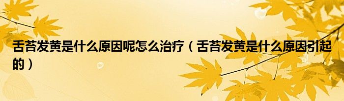 舌苔发黄是什么原因呢怎么治疗（舌苔发黄是什么原因引起的）