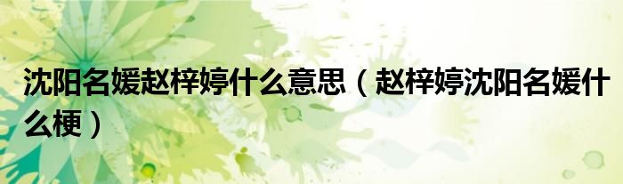 沈阳名媛赵梓婷什么意思（赵梓婷沈阳名媛什么梗）