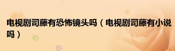 电视剧司藤有恐怖镜头吗（电视剧司藤有小说吗）