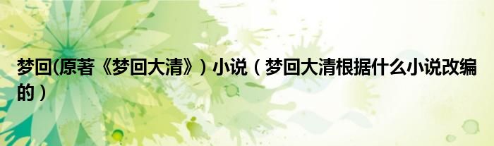 梦回(原著《梦回大清》) 小说（梦回大清根据什么小说改编的）