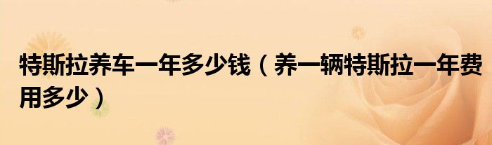 特斯拉养车一年多少钱（养一辆特斯拉一年费用多少）