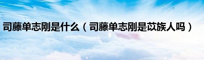 司藤单志刚是什么（司藤单志刚是苡族人吗）