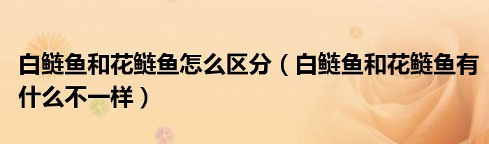 白鲢鱼和花鲢鱼怎么区分（白鲢鱼和花鲢鱼有什么不一样）