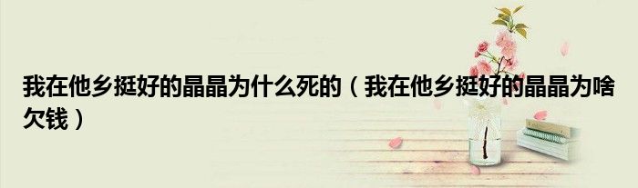 我在他乡挺好的晶晶为什么死的（我在他乡挺好的晶晶为啥欠钱）
