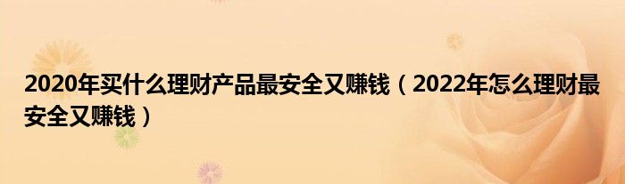 2020年买什么理财产品最安全又赚钱（2022年怎么理财最安全又赚钱）