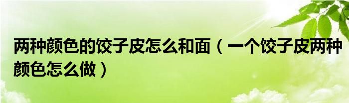 两种颜色的饺子皮怎么和面（一个饺子皮两种颜色怎么做）