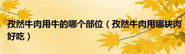 孜然牛肉用牛的哪个部位（孜然牛肉用哪块肉好吃）