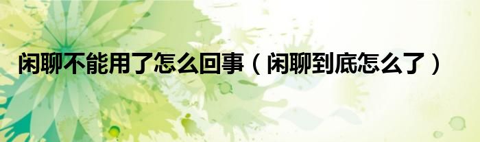 闲聊不能用了怎么回事（闲聊到底怎么了）