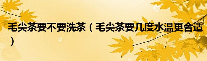 毛尖茶要不要洗茶（毛尖茶要几度水温更合适）