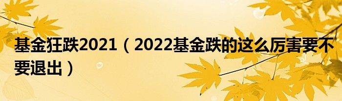 基金狂跌2021（2022基金跌的这么厉害要不要退出）