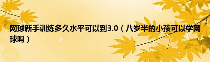 网球新手训练多久水平可以到3.0（八岁半的小孩可以学网球吗）
