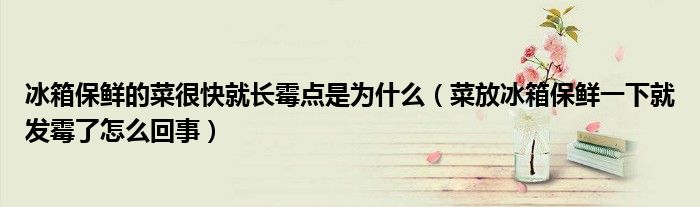 冰箱保鲜的菜很快就长霉点是为什么（菜放冰箱保鲜一下就发霉了怎么回事）