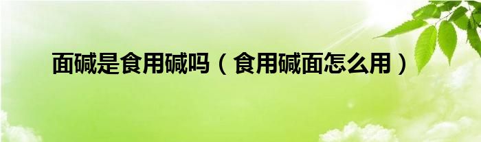 面碱是食用碱吗（食用碱面怎么用）