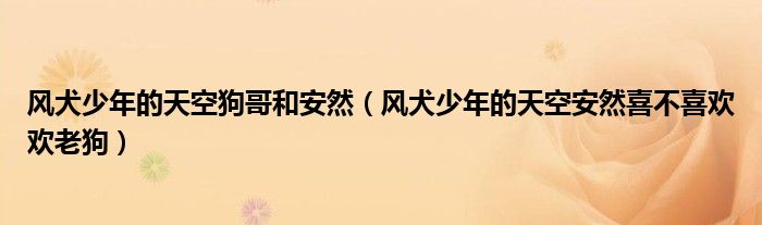 风犬少年的天空狗哥和安然（风犬少年的天空安然喜不喜欢欢老狗）