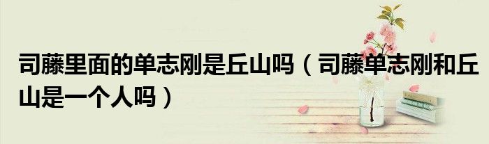 司藤里面的单志刚是丘山吗（司藤单志刚和丘山是一个人吗）
