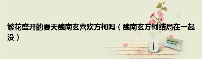 繁花盛开的夏天魏南玄喜欢方柯吗（魏南玄方柯结局在一起没）