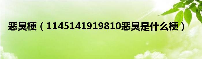恶臭梗（1145141919810恶臭是什么梗）