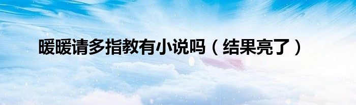 暖暖请多指教有小说吗（结果亮了）