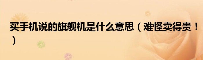 买手机说的旗舰机是什么意思（难怪卖得贵！）