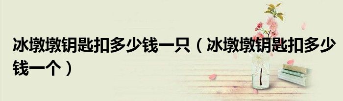 冰墩墩钥匙扣多少钱一只（冰墩墩钥匙扣多少钱一个）