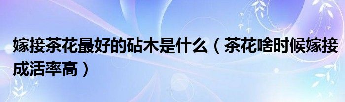 嫁接茶花最好的砧木是什么（茶花啥时候嫁接成活率高）