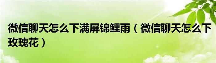 微信聊天怎么下满屏锦鲤雨（微信聊天怎么下玫瑰花）