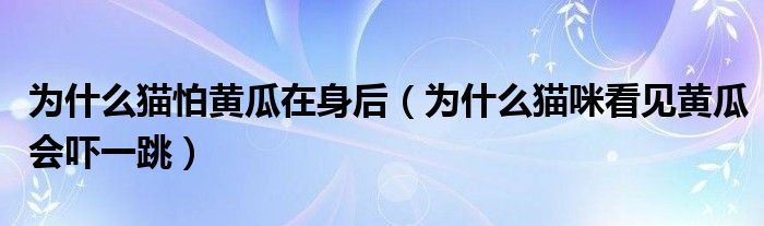 为什么猫怕黄瓜在身后（为什么猫咪看见黄瓜会吓一跳）