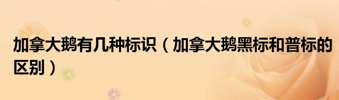 加拿大鹅有几种标识（加拿大鹅黑标和普标的区别）