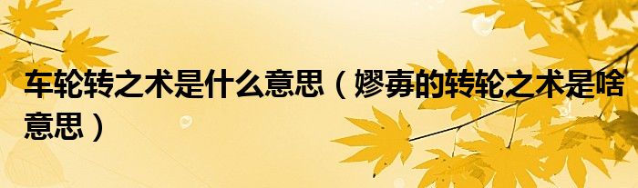 车轮转之术是什么意思（嫪毐的转轮之术是啥意思）