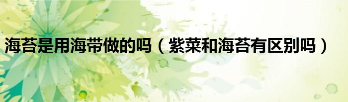 海苔是用海带做的吗（紫菜和海苔有区别吗）