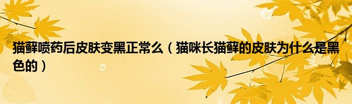 猫藓喷药后皮肤变黑正常么（猫咪长猫藓的皮肤为什么是黑色的）