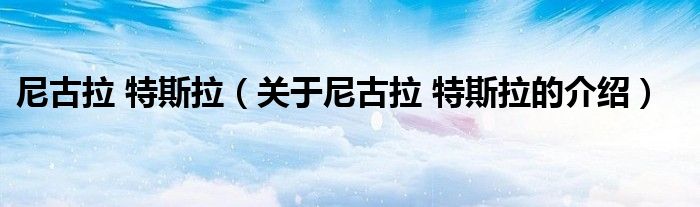 尼古拉 特斯拉（关于尼古拉 特斯拉的介绍）