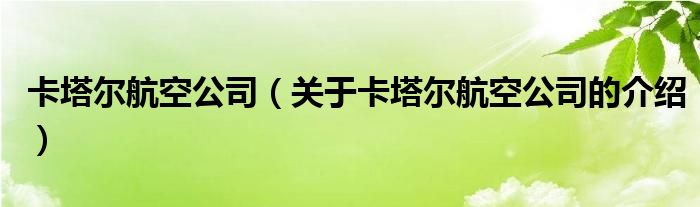 卡塔尔航空公司（关于卡塔尔航空公司的介绍）