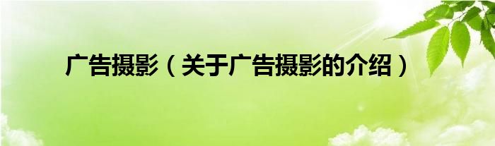 广告摄影（关于广告摄影的介绍）